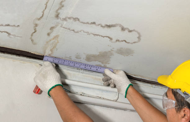 Reliable Water Damage contractor in South Boston, VA by Water Damage Irwin